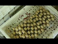 Kapasitif izolatör için Yüksek Gerilim 40.5kVAC-100pF 4000V Seramik Kondansatör